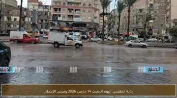 حالة الطقس السبت 14 مارس وفرص تساقط الأمطار في مختلف المناطق